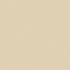 Респект DM, кремовый 02